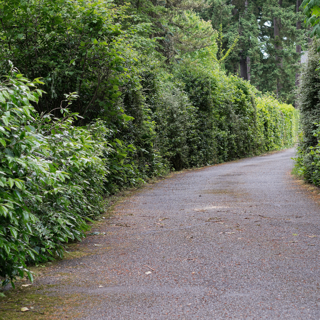Quality Tarmaced Driveway by WCD Rhyl driveway company